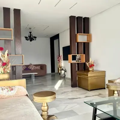 Luxueux appartement centre ville wifi 200 Mo