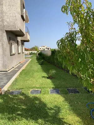 a grassy yard next to a building at Al confort in Fès