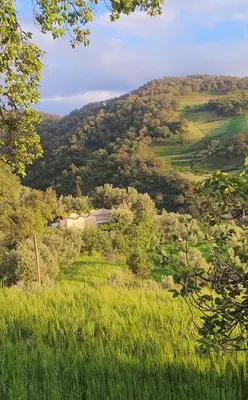 a view of a hill with a farm in the distance at Park tazeka in Bistouna