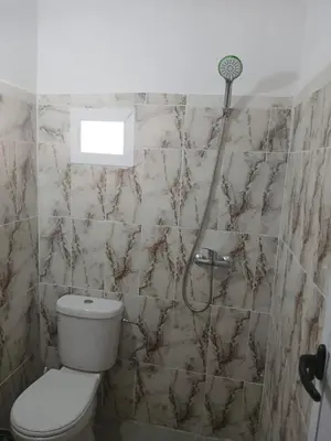 a bathroom with a toilet and a shower at Gite ritch in Rich