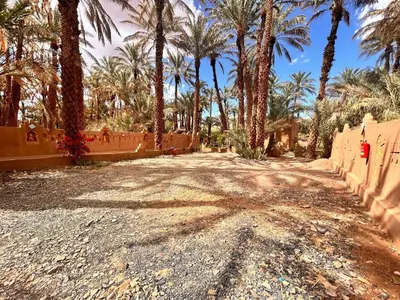 a dirt road with palm trees and a fence at Serenity Lodge Zagora Guest House Restaurant & Desert Excursions in Zagora