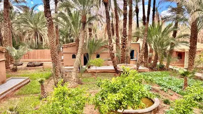 a courtyard with palm trees and a building at Serenity Lodge Zagora Guest House Restaurant & Desert Excursions in Zagora