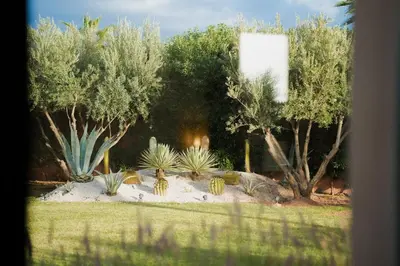 a view of a garden with cactuses and trees at Luxury 5-Suite Villa with Heated Pool, Steam Room & Games in Marrakech