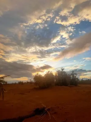 a cloudy sky with palm trees in a desert at Sahara Luxury Room and Tours in Kasr Bounou