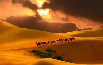 a group of horses running through the desert at sunset at Your Desert Stay in Merzouga