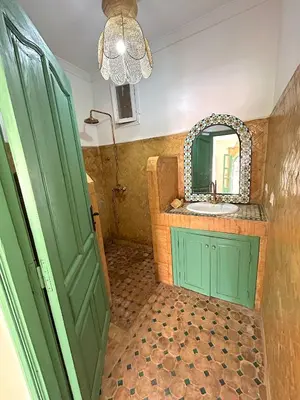 a bathroom with a green door and a mirror at Palais Julia in Chouiter