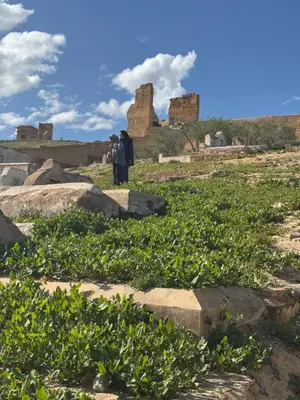 two people standing in a field with ruins in the background at Riad zineb in Fès