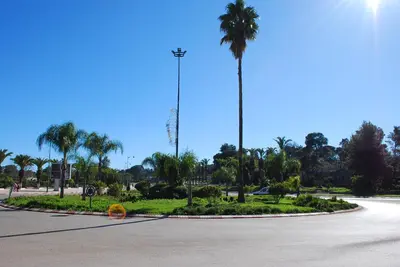 a street with a palm tree and a street light at Appartement á Loisis á Bensimane in Oulad Akkou