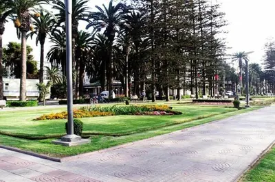 a park with palm trees and a sidewalk and a street at Appartement á Loisis á Bensimane in Oulad Akkou