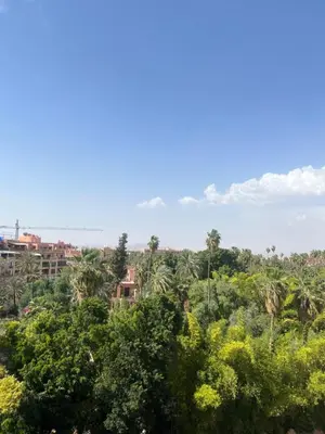 a view of a forest of trees and buildings at Duplex de rêve en face du jardin majorelle in Oulad Akkou