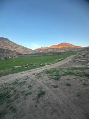 a dirt road in a field with mountains in the background at Anmid Tigmi in Tagdourt