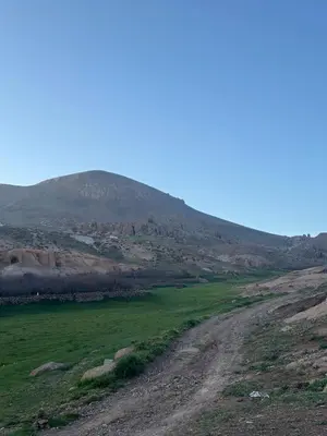 a dirt road in a field with a mountain in the background at Anmid Tigmi in Tagdourt