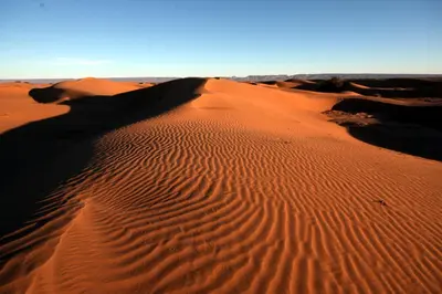a sand dune in the middle of a desert at Sahara Desert Camp Mhamid - Bivouac Le Pacha in Mhamid
