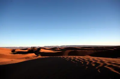 a view of the desert with sand dunes at Sahara Desert Camp Mhamid - Bivouac Le Pacha in Mhamid