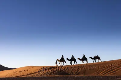 a group of people riding horses on a sand dune at Sahara Desert Camp Mhamid - Bivouac Le Pacha in Mhamid