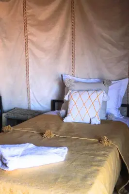 a bedroom with a bed with a mosquito net at Bivouac Le secret des dunes, lac Iriqui in Foum Zguid
