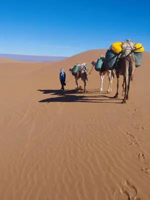 two people and two camels walking through the desert at Sahara pathfinders in Mhamid