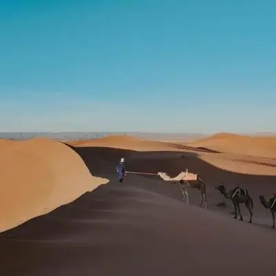 Sahara pathfinders