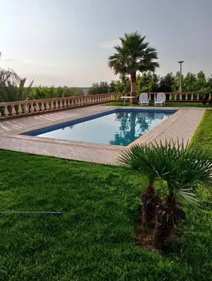 a swimming pool with two chairs and a palm tree at Ferme fes in Oulad Tayeb