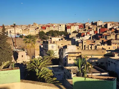 a view of a city with buildings and palm trees at Riad el Anaqa in Fès