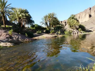 a river in the middle of a desert with palm trees at Maison d'Hôte La Roche Noire in Fint