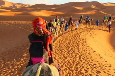 a group of people riding camels in the desert at Desert camp nights camel ride in Merzouga