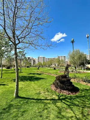 a park with a tree in the grass at Cozy apart in the heart of fez in Fès