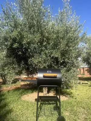 a grill sitting in the grass under a tree at Villa Dar Ambre in Marrakech