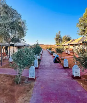 a row of trees with a person sitting on the ground at Merzouga in Oulad Akkou