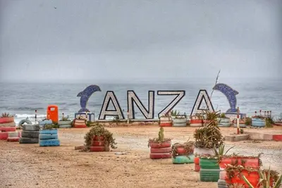 a sign on a beach with potted plants on it at مفتاح الساحل انزا in Oulad Akkou