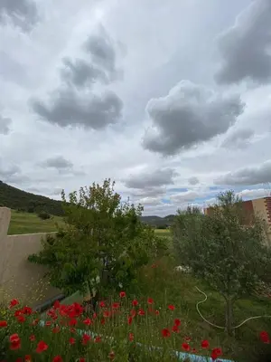 a field with red flowers and trees and clouds at Ferme Arougo in Oulad Akkou
