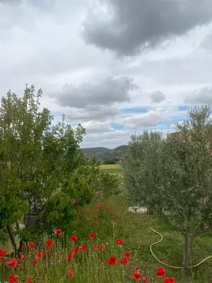 a field filled with red flowers and trees at Ferme Arougo in Oulad Akkou