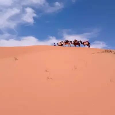 Emosion desert trekking