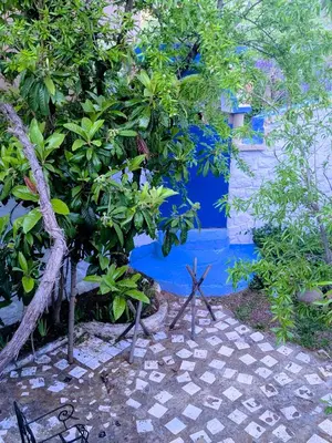 a tree with blue paint on it next to a building at Gite Montana in Aïn Leuh