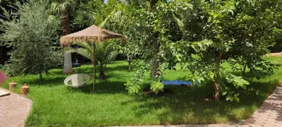 a garden with a gazebo and a tree at طريق تمصلوحت مراكش in Oulad Akkou