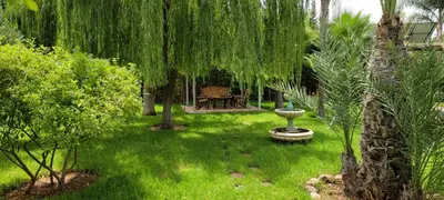 a garden with a fountain in the grass with trees at طريق تمصلوحت مراكش in Oulad Akkou