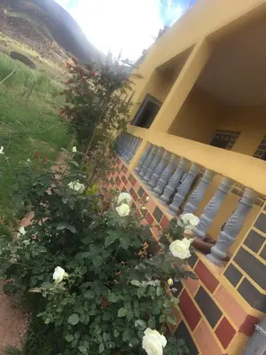 a house with a bench and white roses on it at berber discovery land