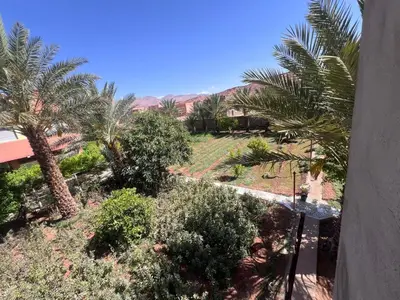 a view of a garden with palm trees and bushes at Halouli in Tinerhir