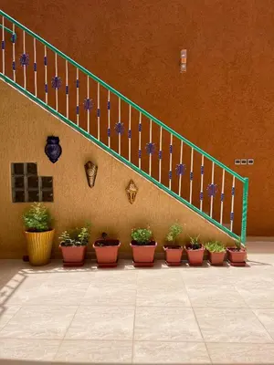 a group of potted plants sitting under a staircase at Dyafat Abla in Oulad Akkou