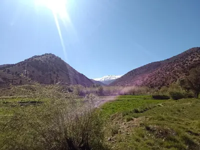 a dirt road in a field with mountains in the background at Gite d'étape La terre Amazigh in Oulad Akkou