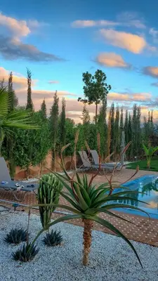 a resort with a pool and cacti and chairs and a plant at Villa Bakhta in Najem