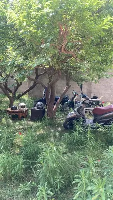 a group of motorcycles parked under a tree at Ourika in Ourika