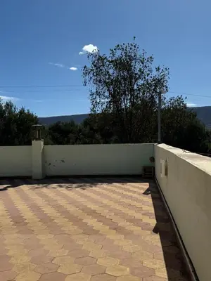 a patio with a white wall and a tree at Villa Zaïtoun in Aït Ourir