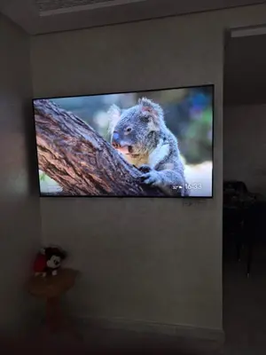 a tv screen with a koala sitting on a tree at Le Nid Doré, Appartement Chic au Centre de Meknès in Meknès