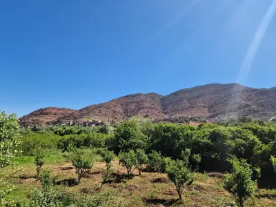 a field of trees with mountains in the background at Villa Jenate Serenitée et paix in Timalizèn