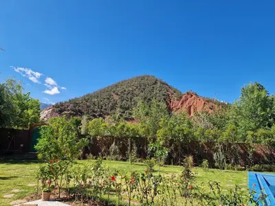 a garden with a mountain in the background at Villa Jenate Serenitée et paix in Timalizèn