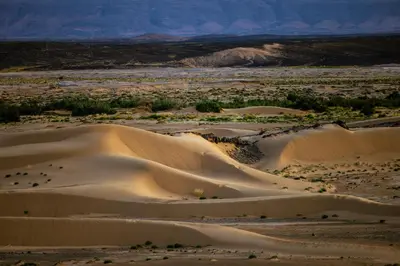 an aerial view of a desert with sand dunes at Dunes Clave in Hassilabied