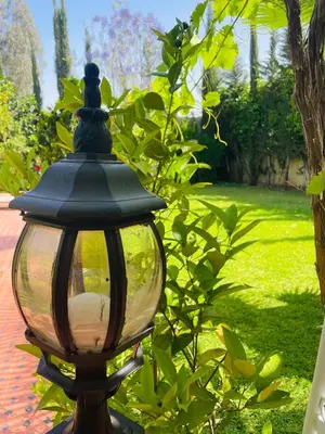 a street light in a garden with a bush at Villa MSHolidays 3 palmiers avec piscine marrakech in Marrakech