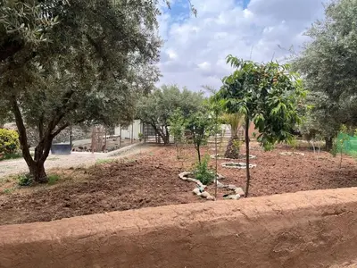 a garden with two trees and a fence at Beautiful peaceful haven with free breakfast in Aghmat