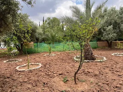 a garden with two trees in the dirt at Beautiful peaceful haven with free breakfast in Aghmat